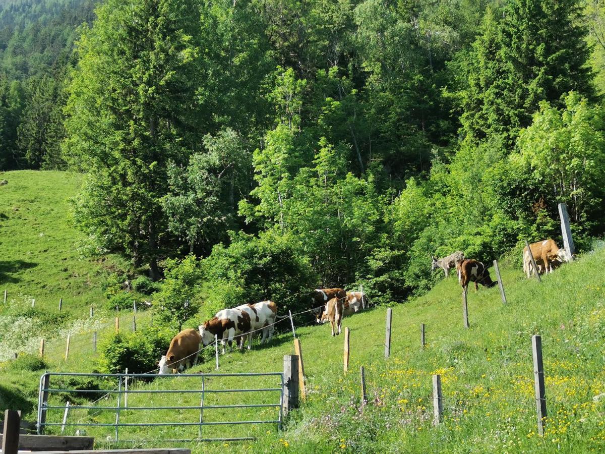 Séjour à la ferme Bauernhof Bethuber Matrei in Osttirol