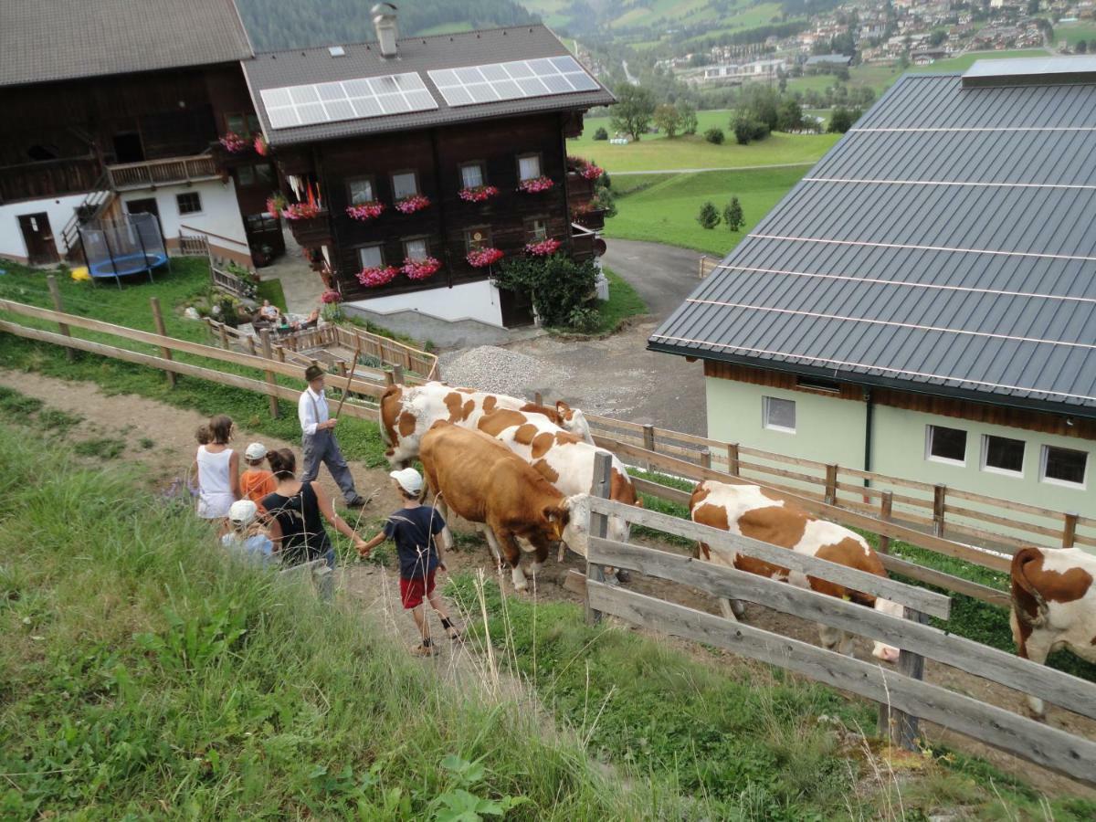 Bauernhof Bethuber *